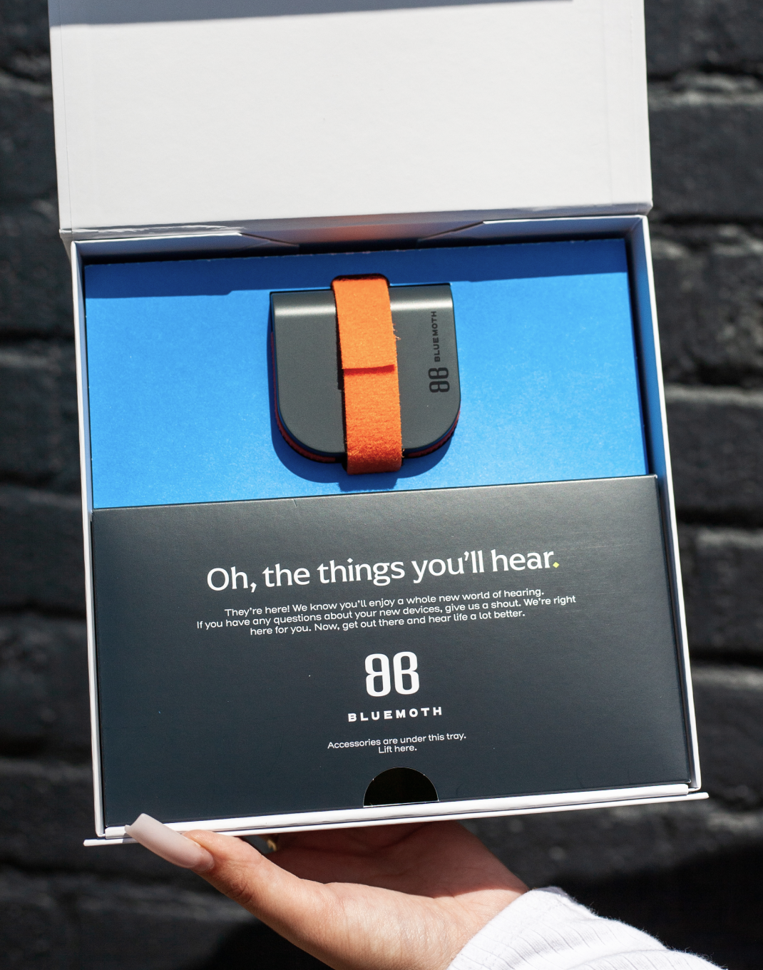 BLUEMOTH Premium Hearing Care Plan